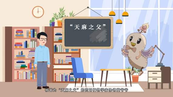 宁强天麻MG动画丨宣传片-宣传片