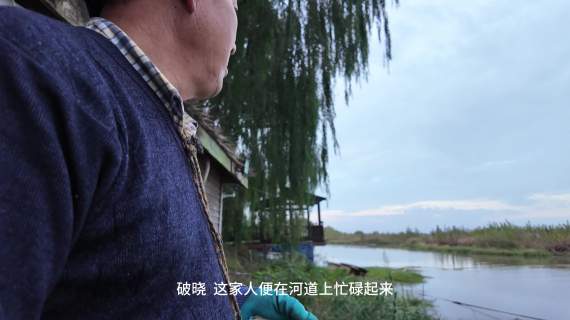 芦荡渔家