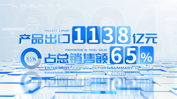企业数据图表展示