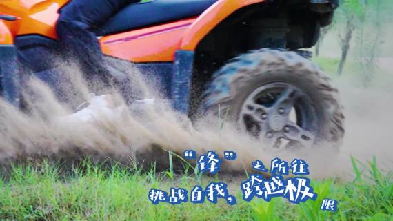 延锋活动预告
