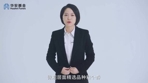 华安邹总团队