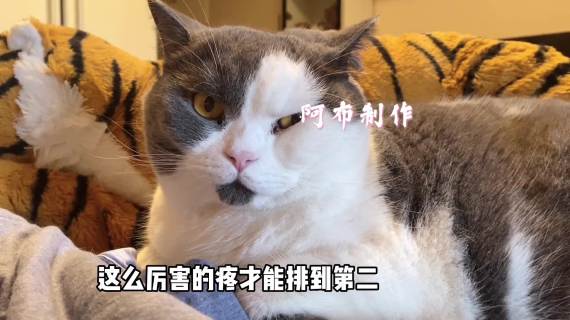 儿童科普