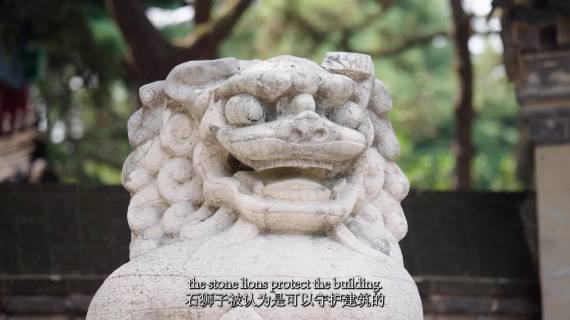 美丽青岛