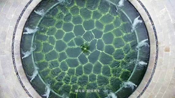 禅泉渡假酒店-宣传片