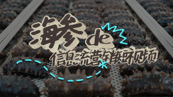 【信息流】海参营销短视频