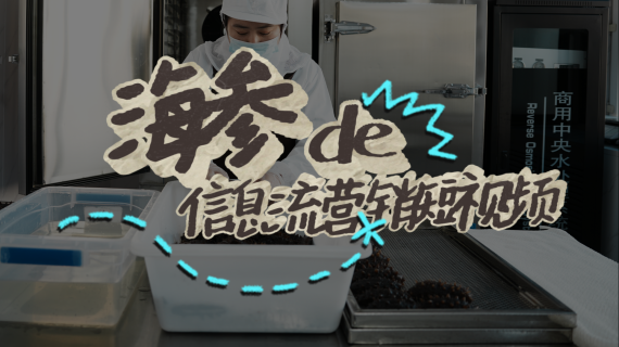 【信息流】海参营养为什么无法替代