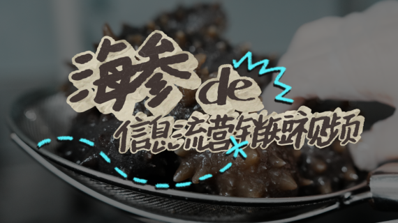 【信息流】海参营销短视频