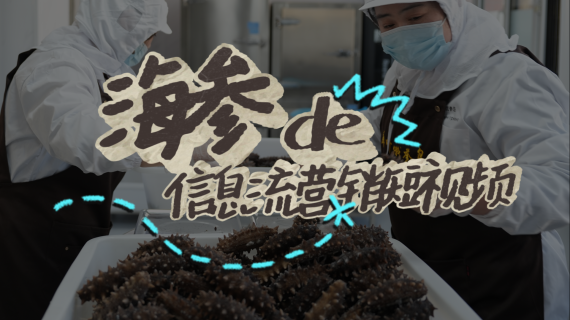 【信息流】海参营销短视频