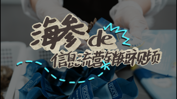 【信息流】海参营销短视频