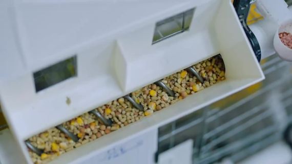 餐饮广告宣传形象片