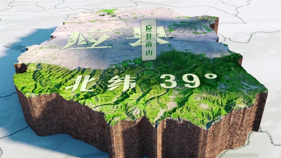 三维区域地形地图-应县