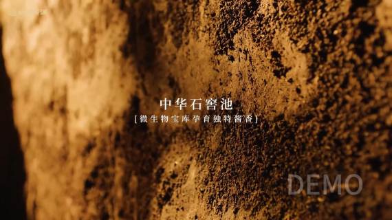 杜康酒厂介绍