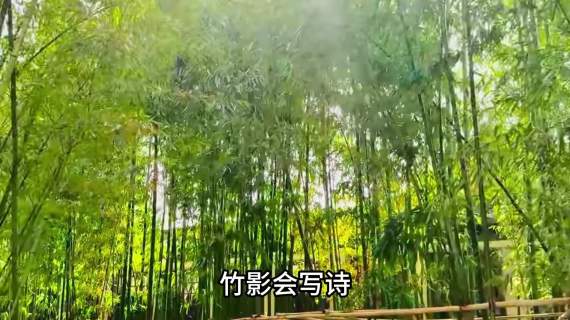 扬州旅游宣传
