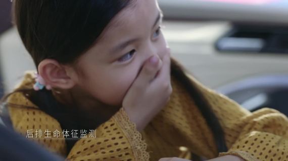 WEY VV6   智能安全 无WEY不