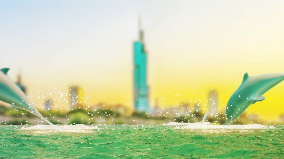 海豚 白暨豚 江豚 鱼 跃出水面
