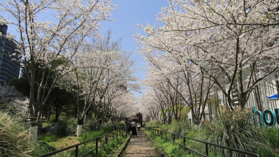 季节变迁