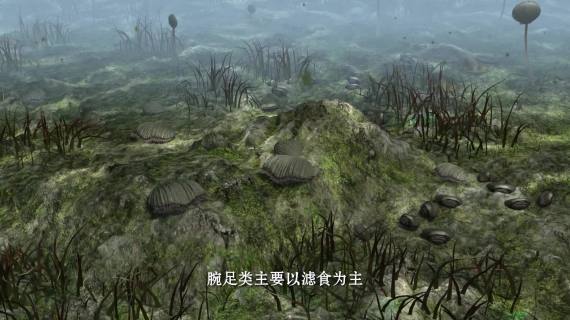 科普 风光 航拍 延时
