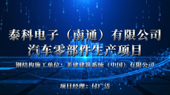 泰科电子(南通)有限公司汽车零部件生产项
