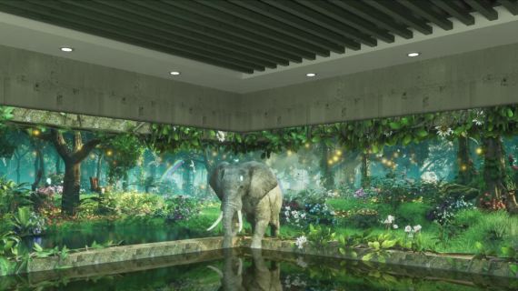 大象裸眼3d