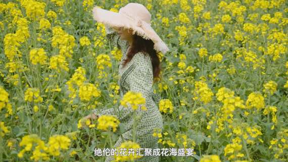 绿道行
