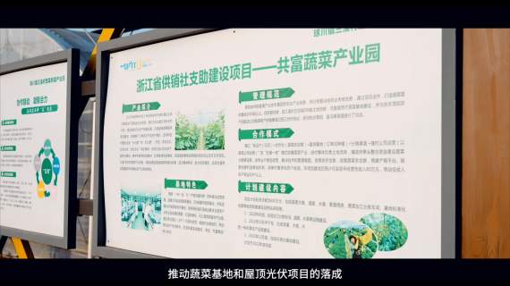 为农服务专题点亮东坑