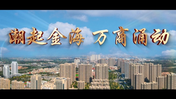 厦门翔安金海街道招商片