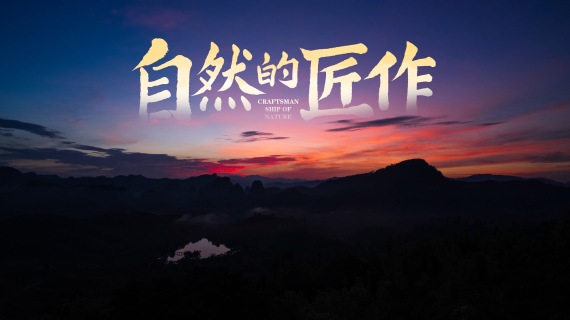 《自然的匠作》