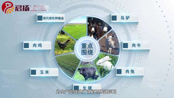 红庆河镇农业产业高质量发展回眸