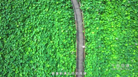 成都市新津区宣传片