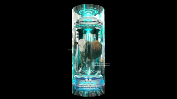 裸眼3D三维动画牛类立柱