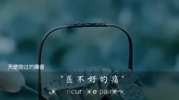 音乐视频